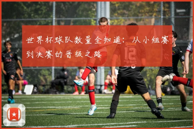 世界杯球队数量全知道：从小组赛到决赛的晋级之路