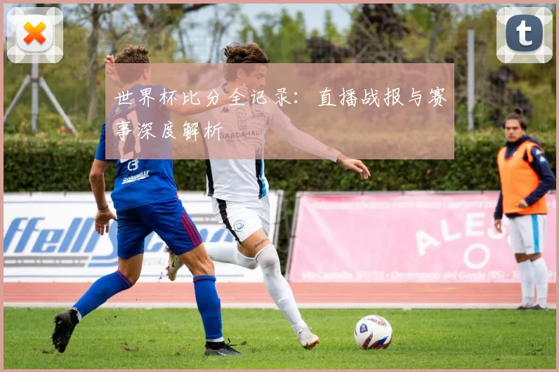 世界杯比分全记录：直播战报与赛事深度解析