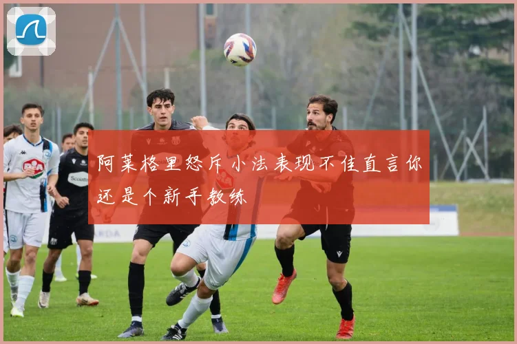 阿莱格里怒斥小法表现不佳直言你还是个新手教练