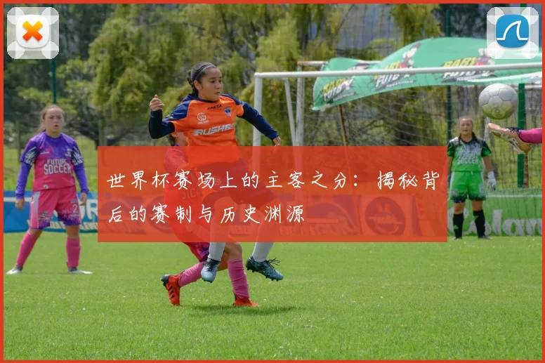 世界杯赛场上的主客之分：揭秘背后的赛制与历史渊源