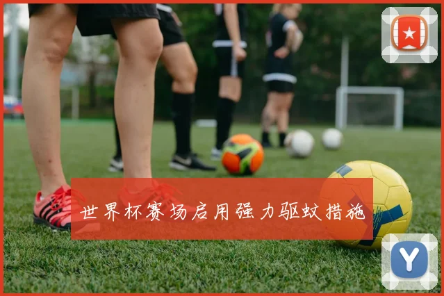 世界杯赛场启用强力驱蚊措施