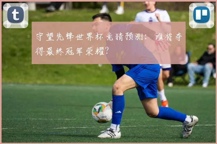 守望先锋世界杯竞猜预测：谁将夺得最终冠军荣耀？