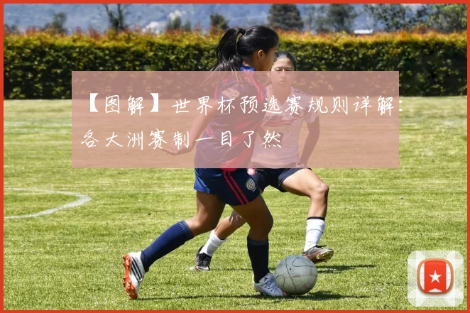 【图解】世界杯预选赛规则详解：各大洲赛制一目了然