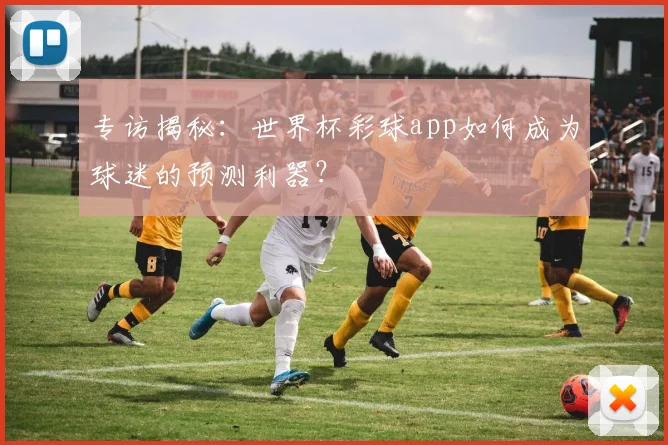 专访揭秘:世界杯彩球app如何成为球迷的预测利器?